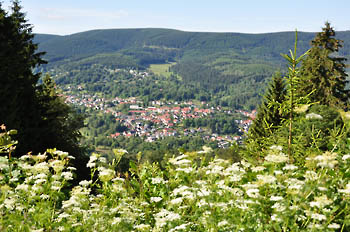 Goldlauter-Heidersbach