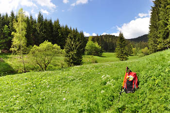 Traumhafte Umgebung